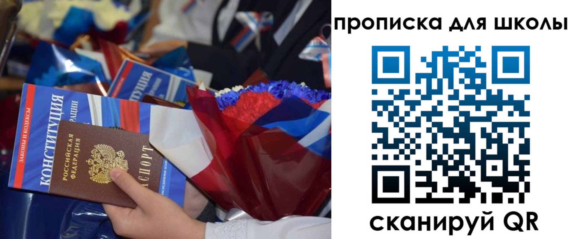 прописка гарантия в Владимирской области
